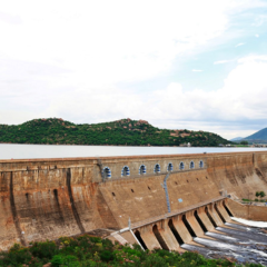 Tamil Nadu govt to open Mettur Dam gates as water level rises
